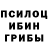 Галлюциногенные грибы Magic Shrooms hanger1800