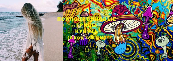 прущие грибы Бугульма