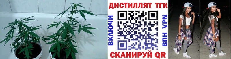 Дистиллят ТГК концентрат  Купить  Верхняя Пышма 