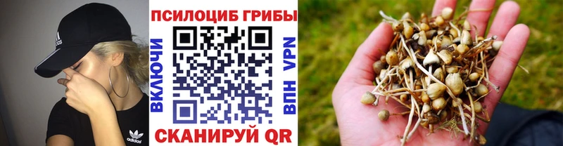 Купить  Верхняя Пышма  Галлюциногенные грибы Magic Shrooms 
